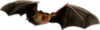 Halloween -- Bat