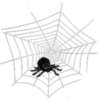 Halloween --  Spider's web