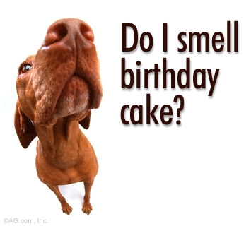 Do I smell birhday cake?