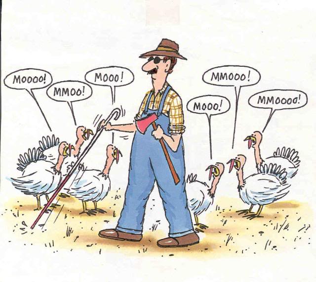 Turkey Day vs Thanksgiving