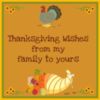Thanksgiving Wishes from my family to yours