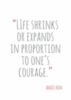 Life shrinks or expands in proportion to one's courage. Anais Nin