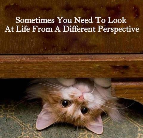 Motivational Monday Quote About a Different Perspective
