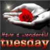 Have a wonderful Tuesday
