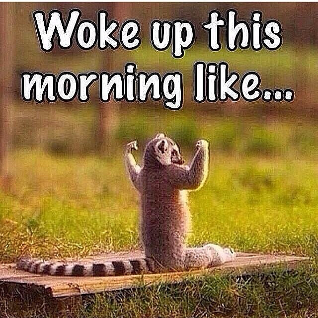 Woke up this morning like... :: Good Day :: MyNiceProfile.com