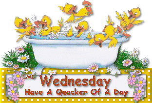 Wednesday Have A Quacker Of A Day