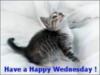 Have a Happy Wednesday! 