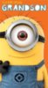 To A Very Special Grandson -- Despicable Me Minion