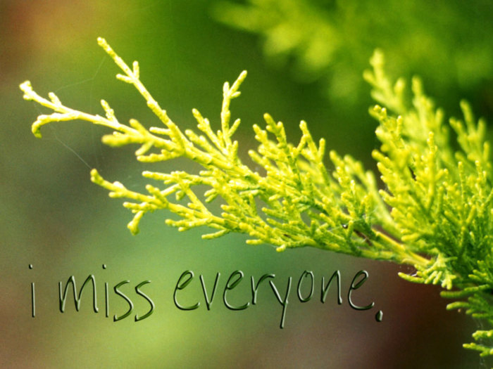 I Miss Everyone