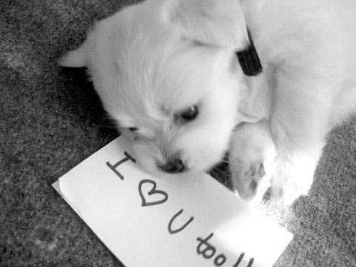 I Love You too!