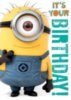It's Your Birthday -- Despicable Me Minion