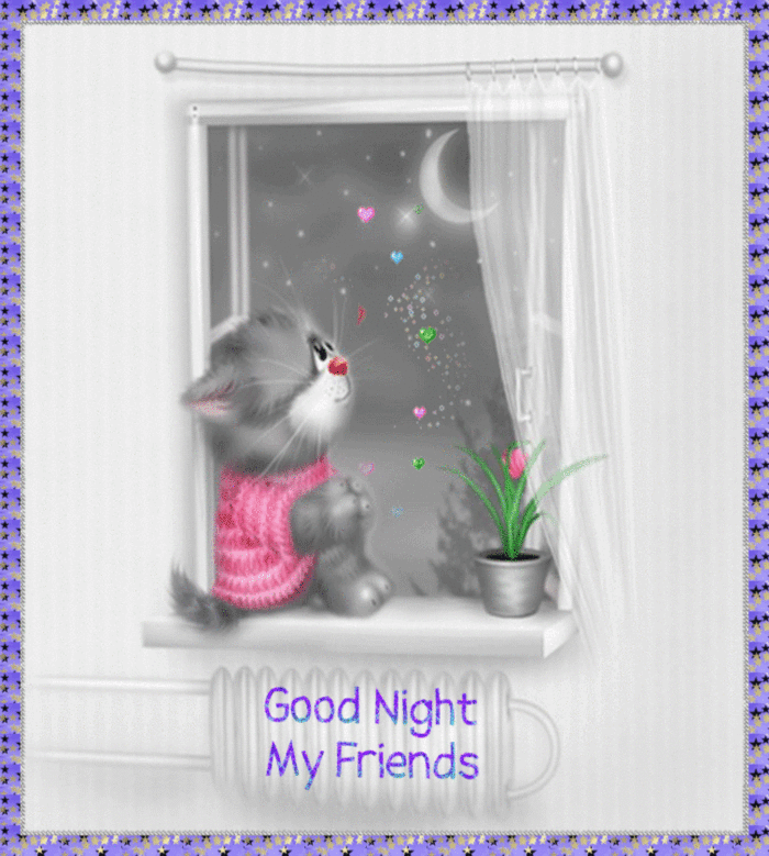 Good Night My Friends