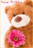 Happy Birthday -- Cute Teddy Bear with Flower
