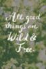 "All good things are wild & free." Henry David Thoreau