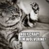 LOL Cat: Holy Crap! I'm Wolverine!