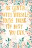Be Gentle With Yourself, You're Doing The Best You Can.