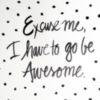 Excuse me, I have to be Awesome.