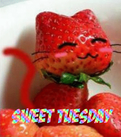 Sweet Tuesday