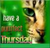 Have a purrrfect Thursday