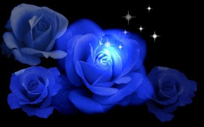 Blue roses