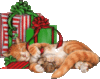 Merry Christmas -- Sleeping Animals