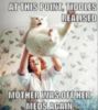 LOL Cat: Mother was off her meds again