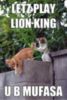 LOL Cat: Let's play lion king