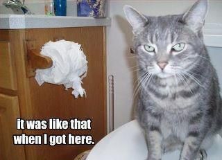 LOL Cat: It was like that when I got here.