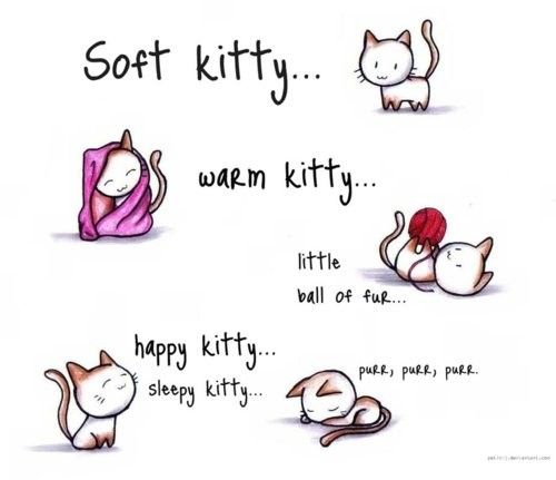Cute kitty quote