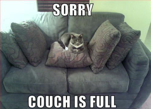 LOL Cat: sorry couch is full