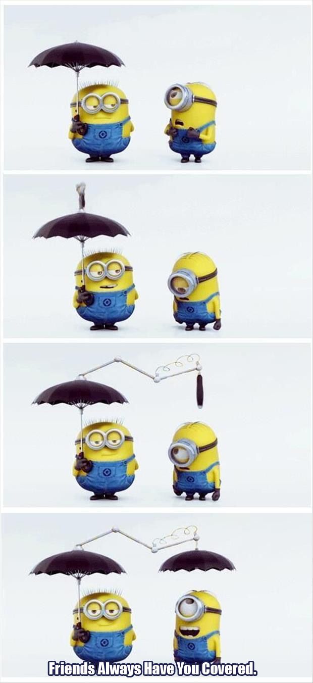 Friends: Always Have You Covered. -- Minions