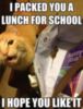 LOL Cat: I packed you a lunch for school