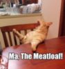 LOL Cat: Ma, the meatloaf!
