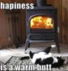 LOL Cat: hapiness is a warm butt