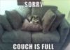 LOL Cat: sorry couch is full