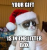 Grumpy Cat Christmas Gift