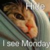 Hide I see Monday