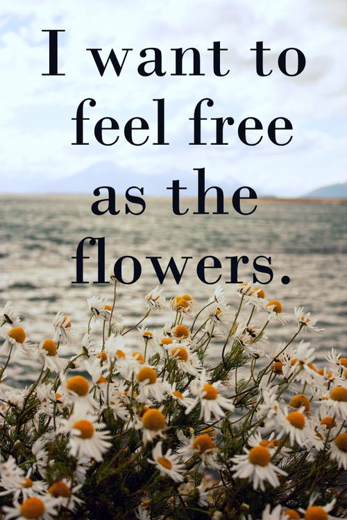 I Want To Feel Free As The Flowers.