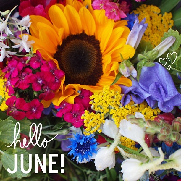 Hello June!