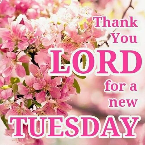 Thank you for a new Tuesday 