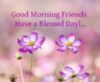 Good Morning Friends Have a Blessed Day!
