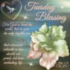 Tuesday Blessings!