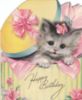 Happy Birthday -- Kitten in Hat Box