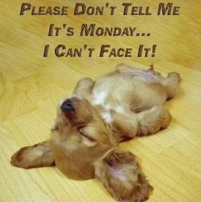 It's Monday -- Funny Puppy