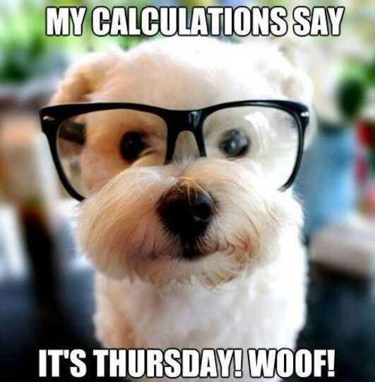 It s Thursday Cute Puppy Thursday MyNiceProfile
