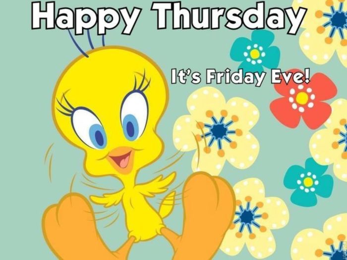 Happy Thursday. It's Friday Eve! -- Tweety