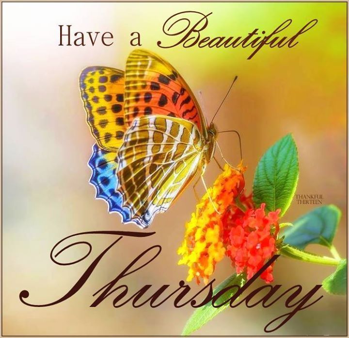 Have a Beautiful Thursday
