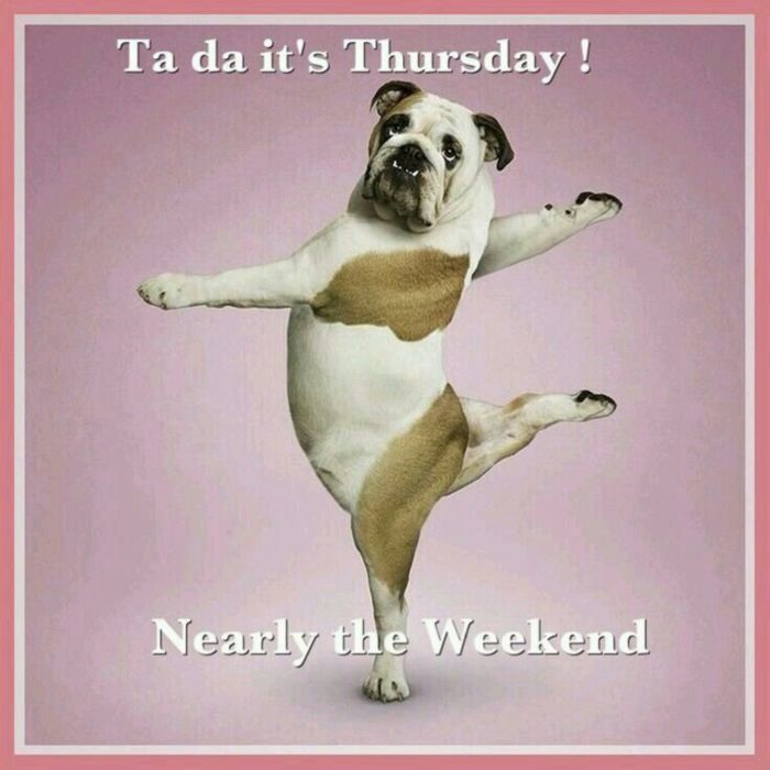 It's Tuesday! Nearly the weekend