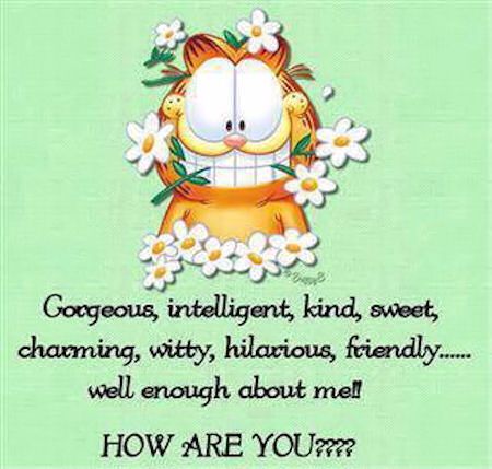 How are you? -- Funny Garfield