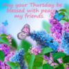May your Thursday Be Blessed with peace my Friends.